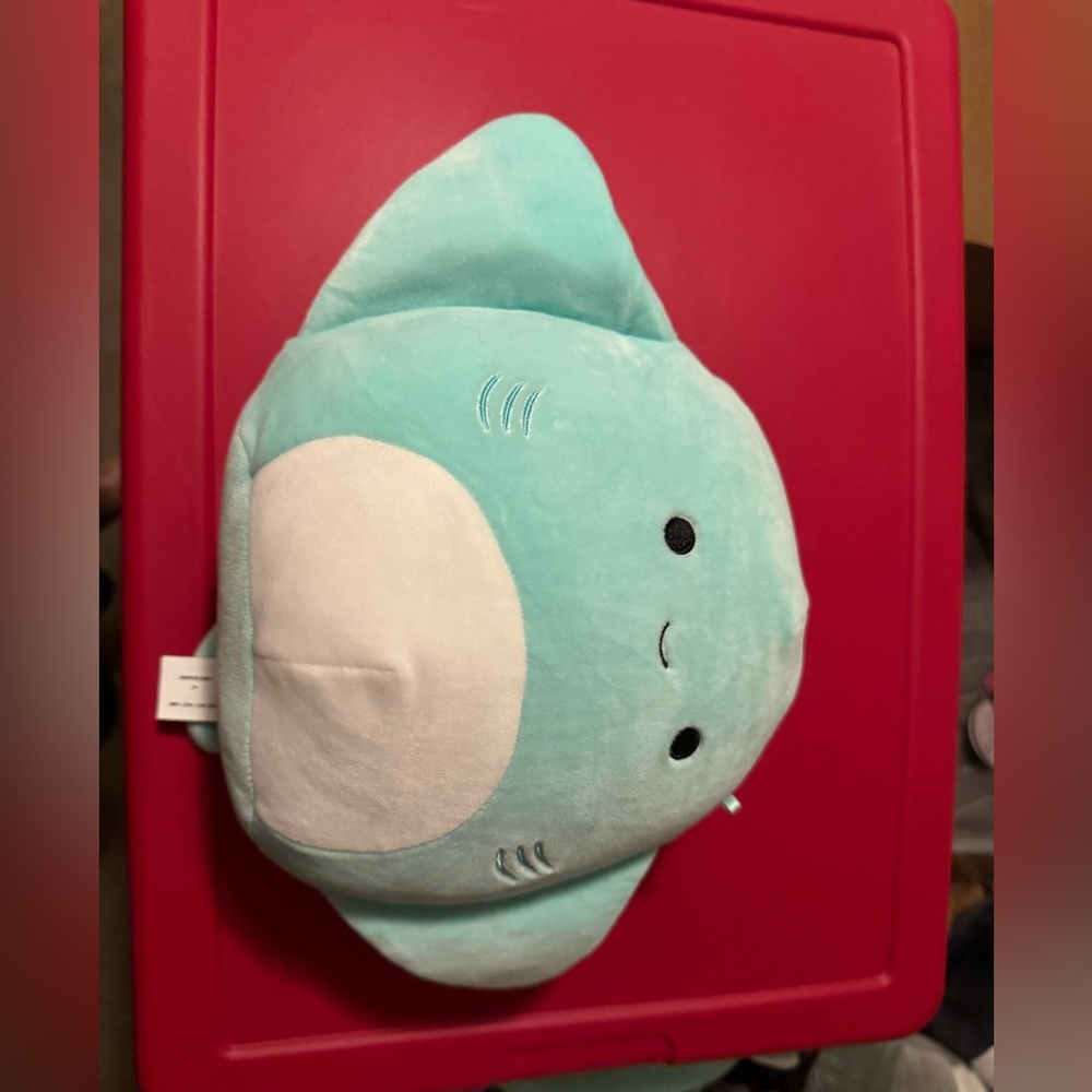 Flat winged Maggie the Sting Ray Canadian Sting Ray